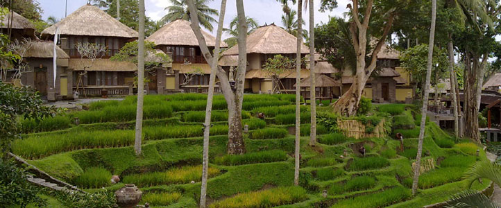 Bali Kamandalu Honeymoon Villa - Ubud Chalet Overview