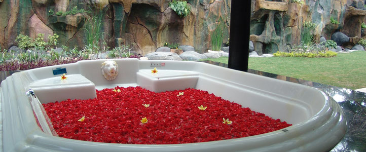 Bali Dreamland Honeymoon Villa - Bath Tub