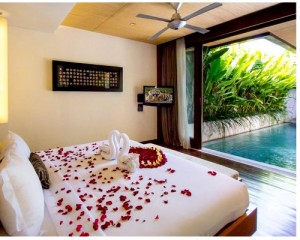 Bali Maca Seminyak Honeymoon Villa - The Villa