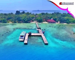 Pulau Pantara view Drone
