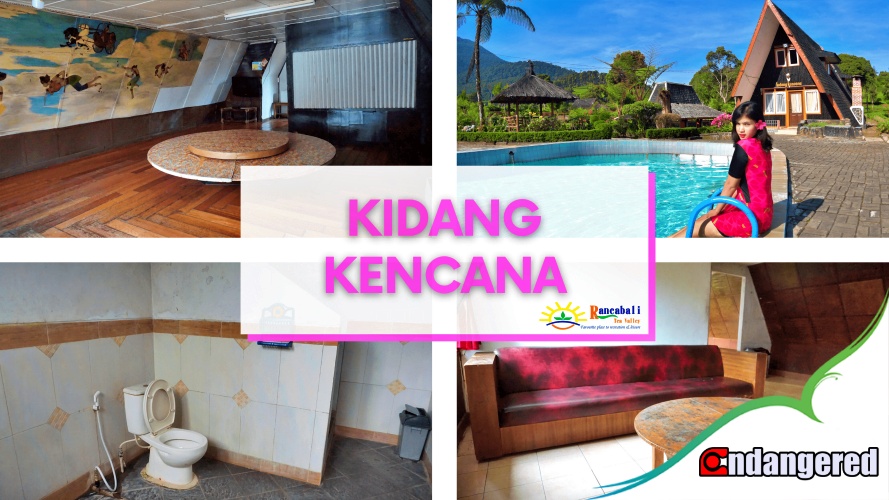 Villa Kidang Kencana Rancabali Tea Resort Ciwidey