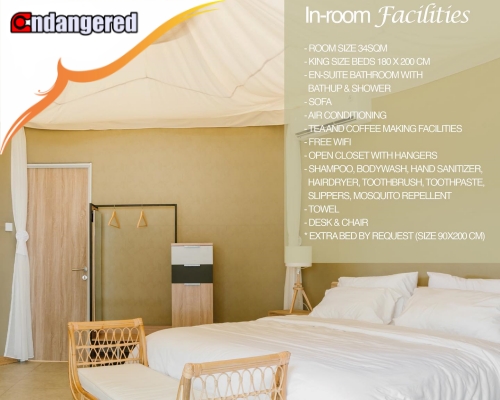 Room Facilities - Asha Beach Club Resort