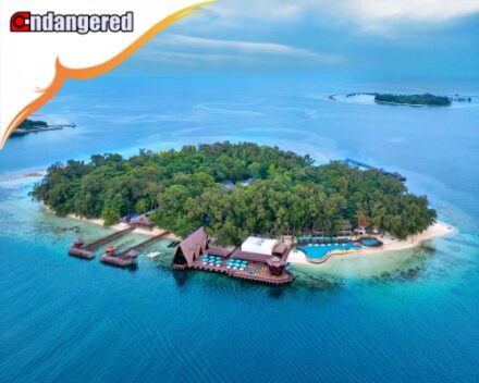 Pulau Sepa Resort Island Kep Seribu