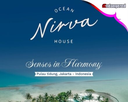 Nirva Ocean Banner - Endangered Tour 1