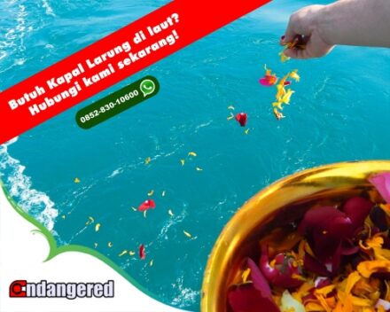 Kapal Cepat Speedboat Larung Tabur Abu Bunga
