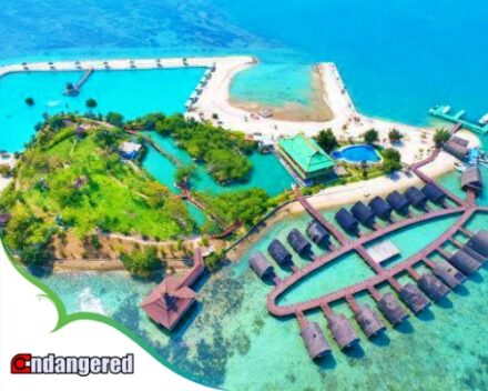 Drone View Pulau Lima Resort