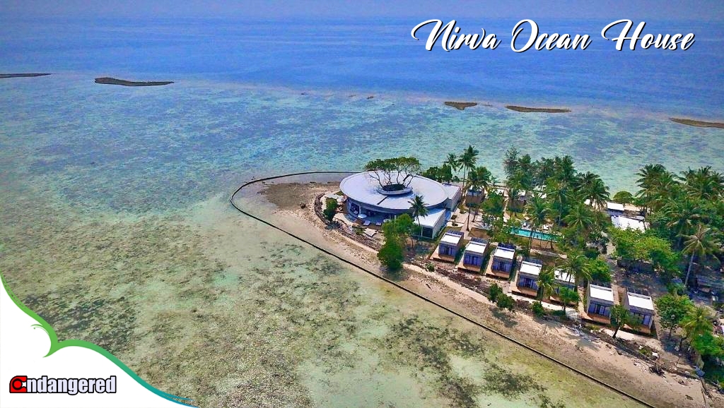 Resort tepi pantai Nirva Ocean House